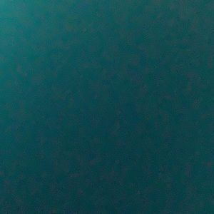 Meet your Posher, Kaylin